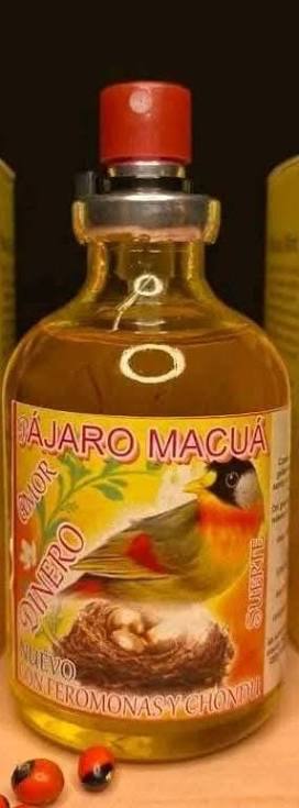 PAJARO MACUA